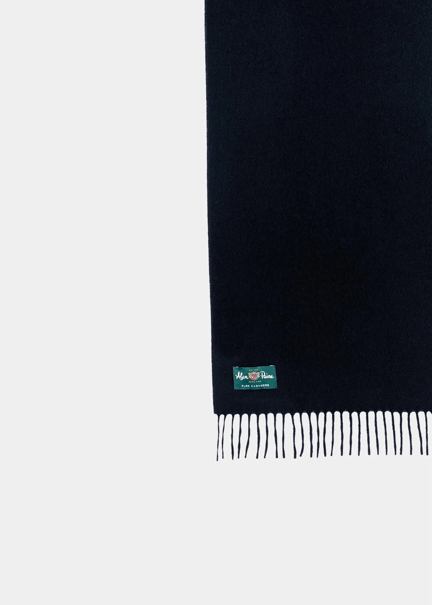 Risbury Men's Cashmere Plain Scarf In Black