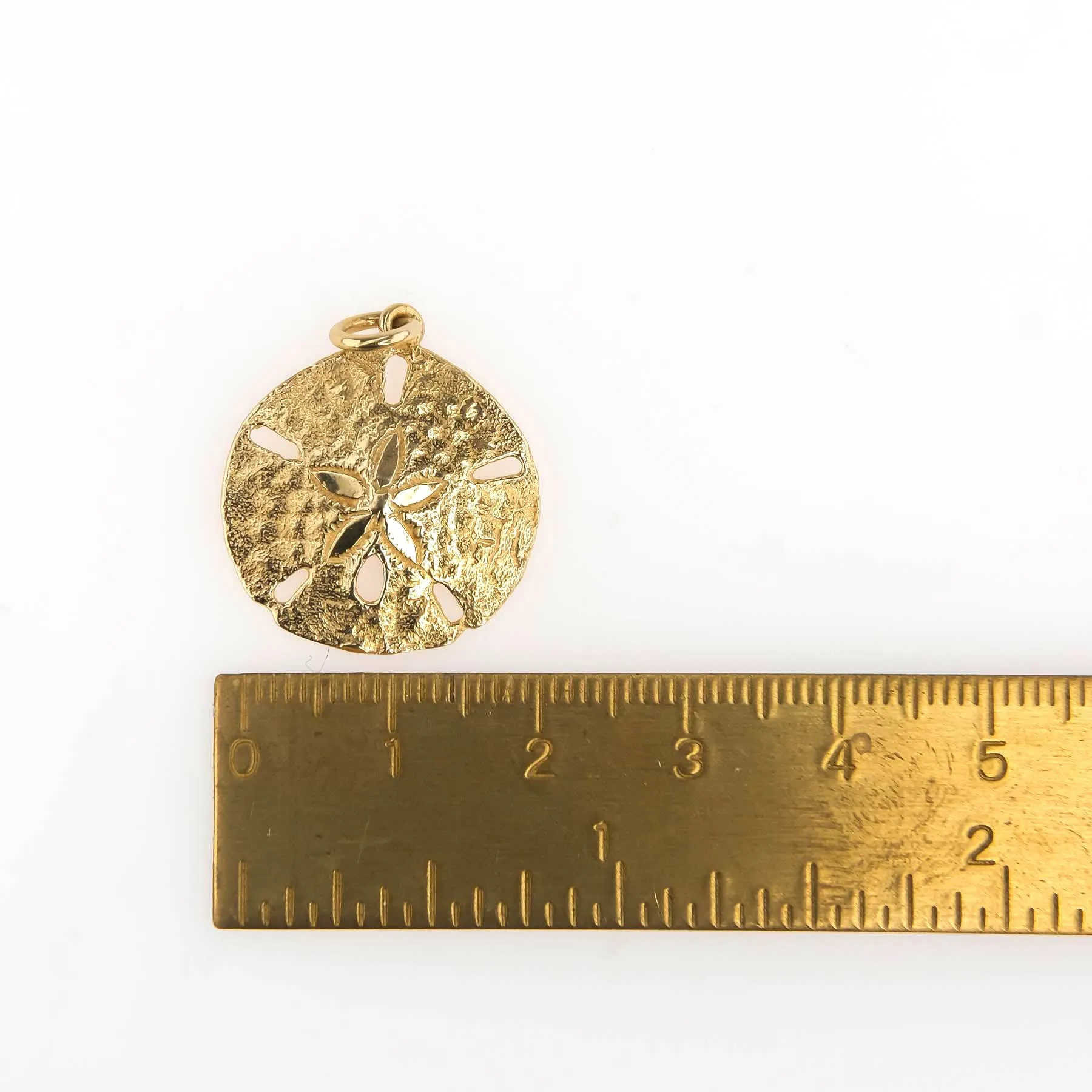 Sand Dollar Pendant in 14K Yellow Gold